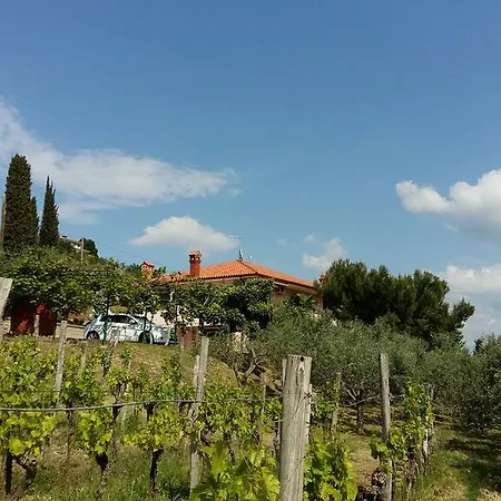 Alloggio per agriturismo Mejak & Bordon *